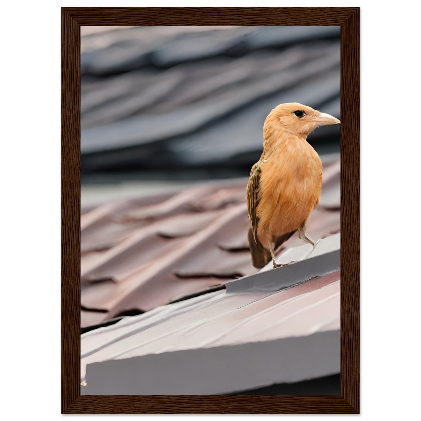 Classic Semi-Glossy Paper Wooden Framed Poster