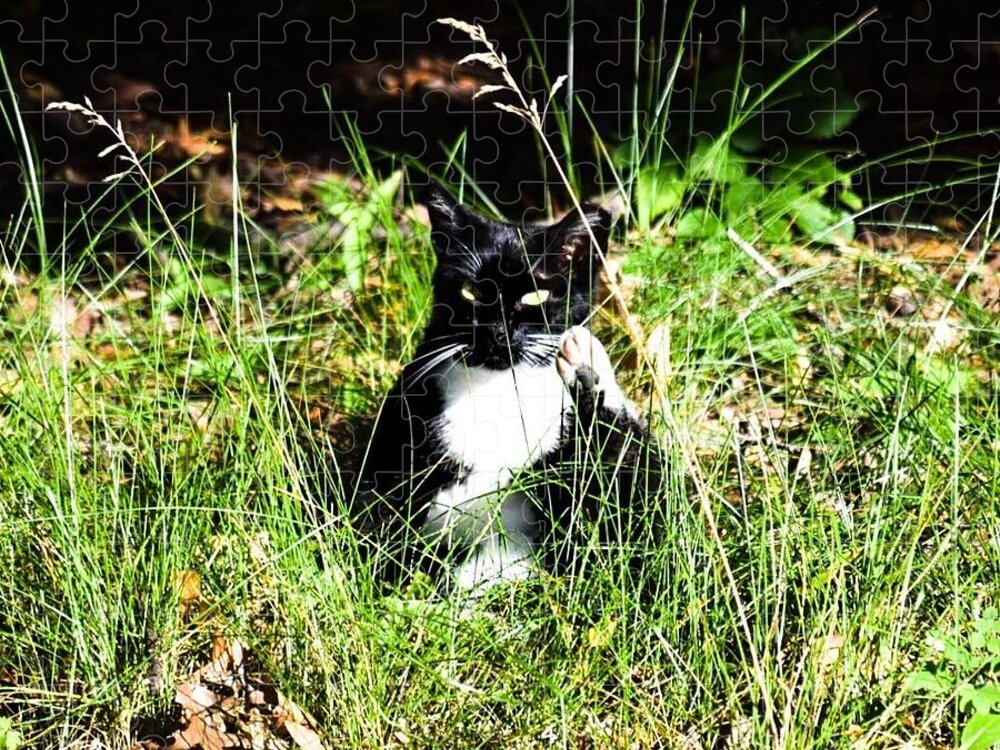 Cat Vibes - Puzzle