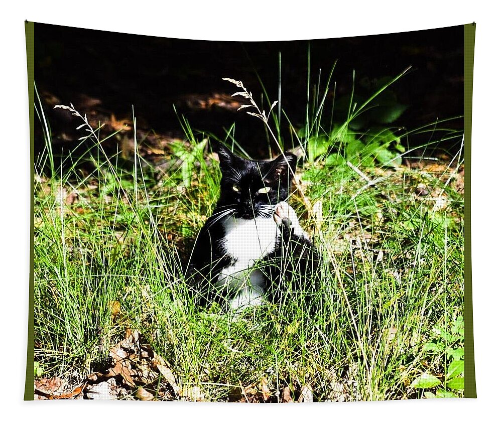 Cat Vibes - Tapestry