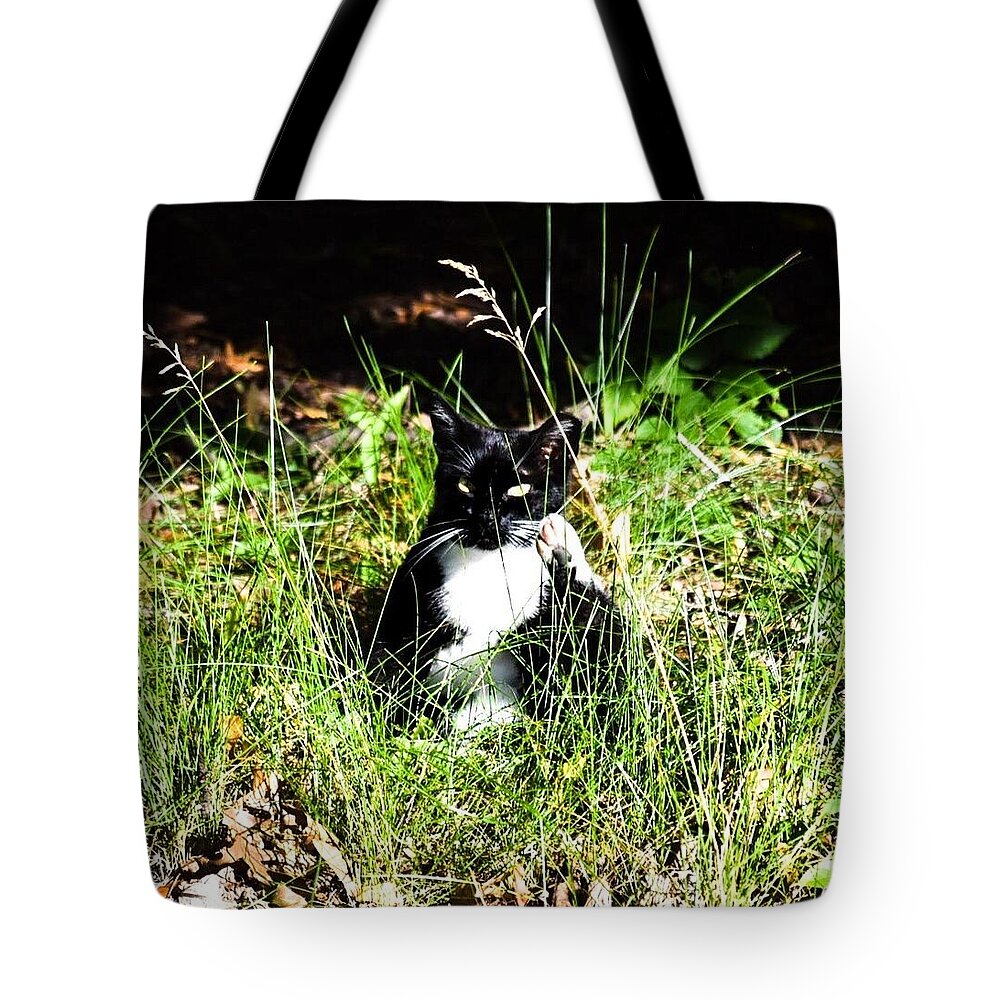 Cat Vibes - Tote Bag