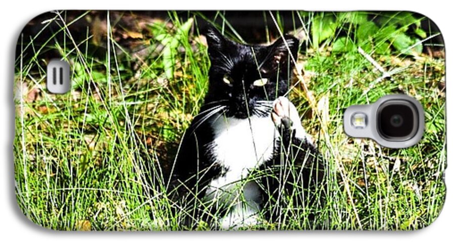 Cat Vibes - Phone Case