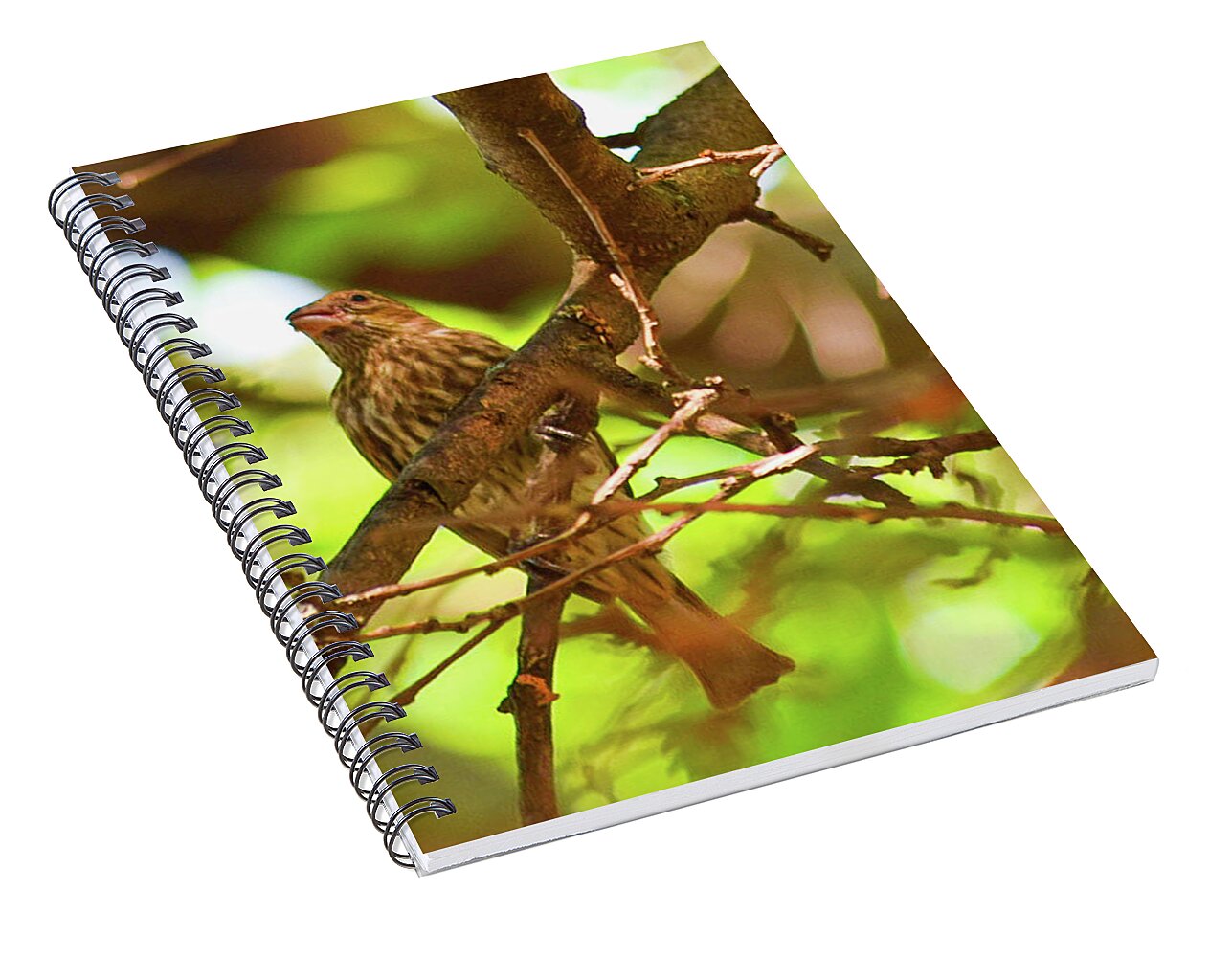 Perched - Spiral Notebook