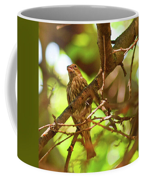 Perched - Mug