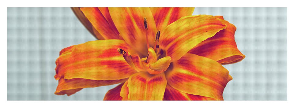 Orange Lilly - Yoga Mat