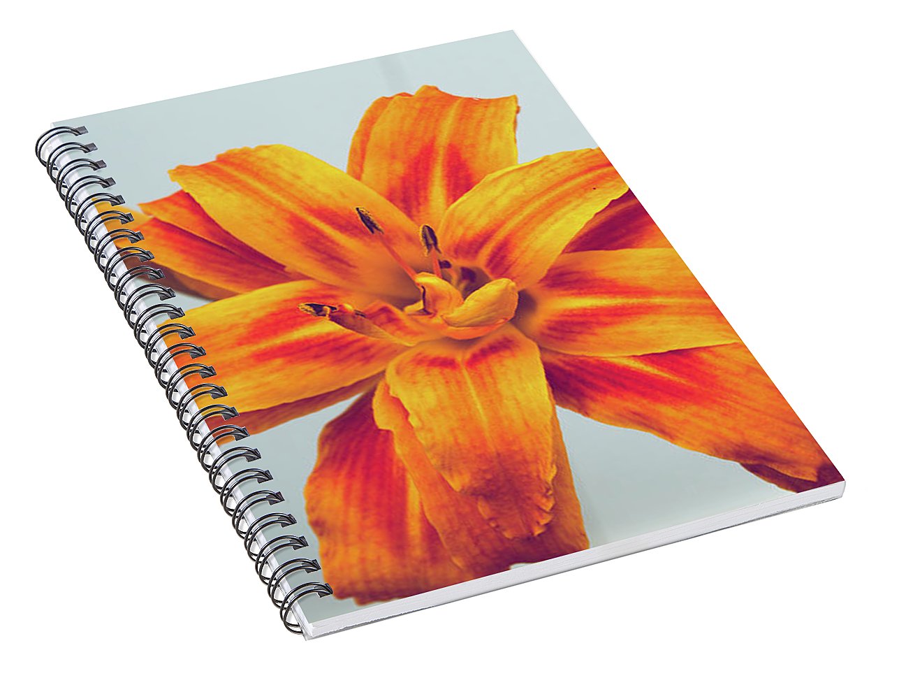 Orange Lilly - Spiral Notebook