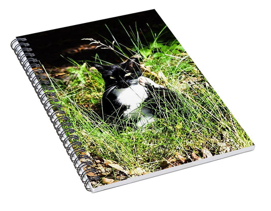 Cat Vibes - Spiral Notebook