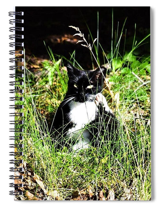 Cat Vibes - Spiral Notebook