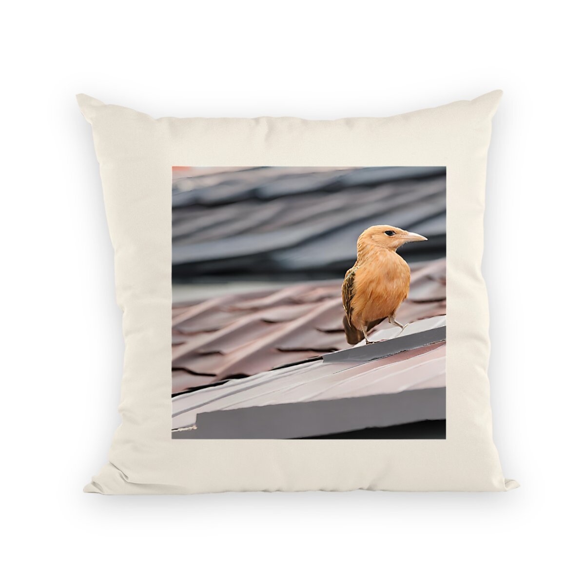 Pillow Birdie