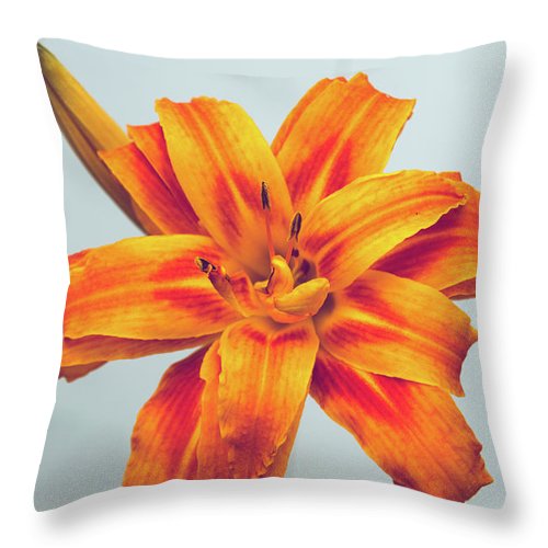 Orange Lilly - Throw Pillow