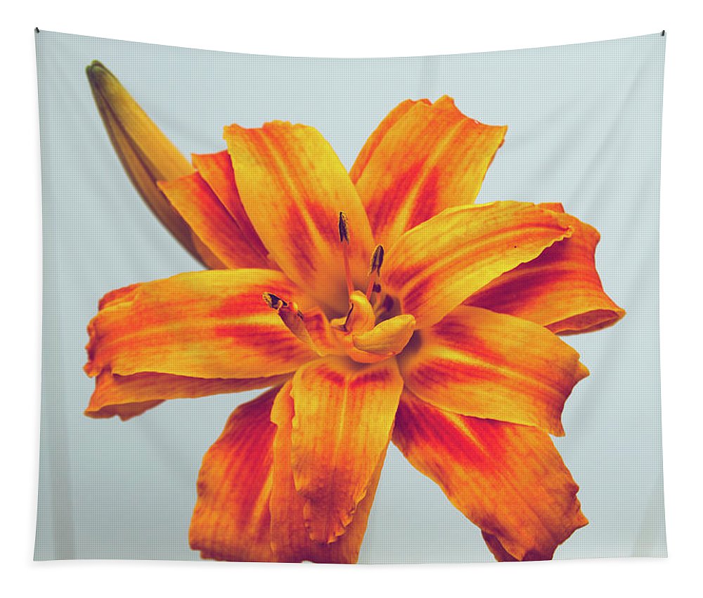 Orange Lilly - Tapestry